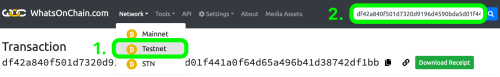5 whatsonchain-testnet.png
